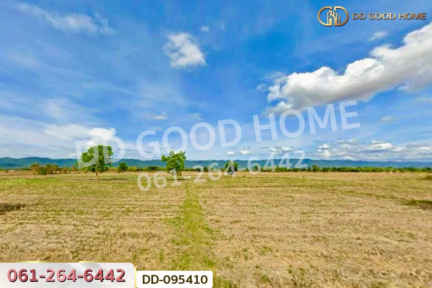 ที่ดินสันโค้ง 22 ไร่ 66 ตร.ว. ดอกคำใต้ พะเยา ใกล้สถานีอนามัยตำบลสันโค้ง DD-095410