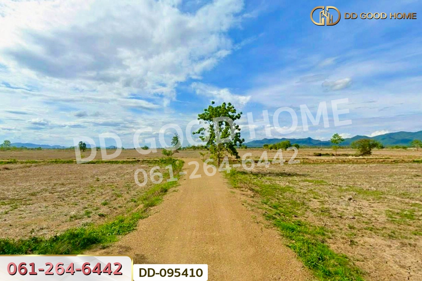 ที่ดินสันโค้ง 22 ไร่ 66 ตร.ว. ดอกคำใต้ พะเยา ใกล้สถานีอนามัยตำบลสันโค้ง DD-095410