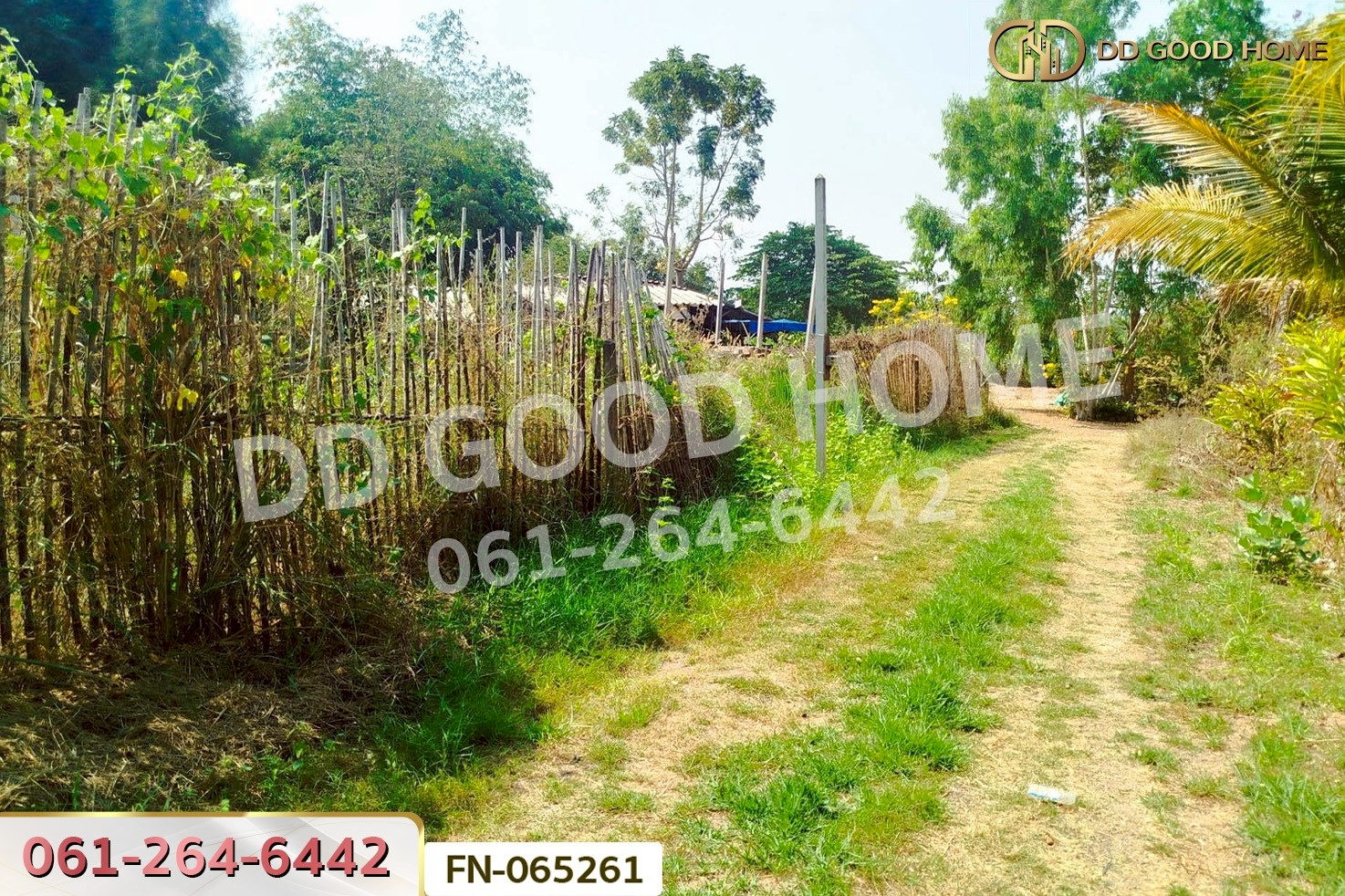 ที่ดินจอมบึง 3 ไร่ 25 ตร.ว. ราชบุรี ใกล้องค์การบริหารส่วนตำบลรางบัว FN-065261