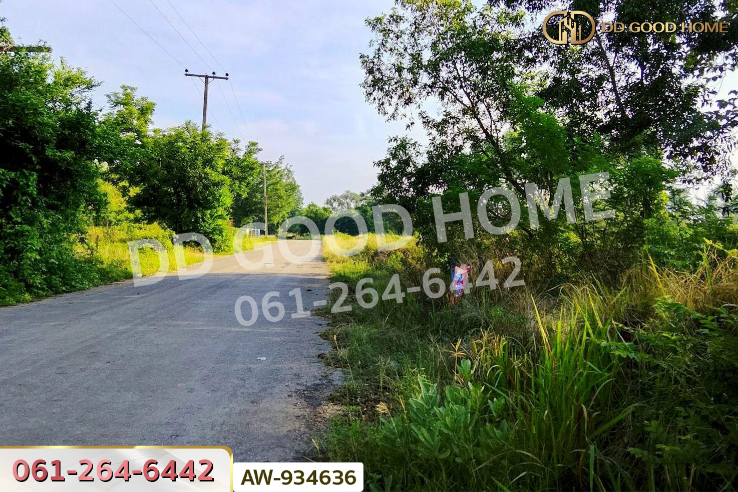 ที่ดินบ้านบะเสียว เนินสง่า 136.6 ตร.ว. ชัยภูมิ ใกล้โรงพยาบาลเนินสง่า AW-934636