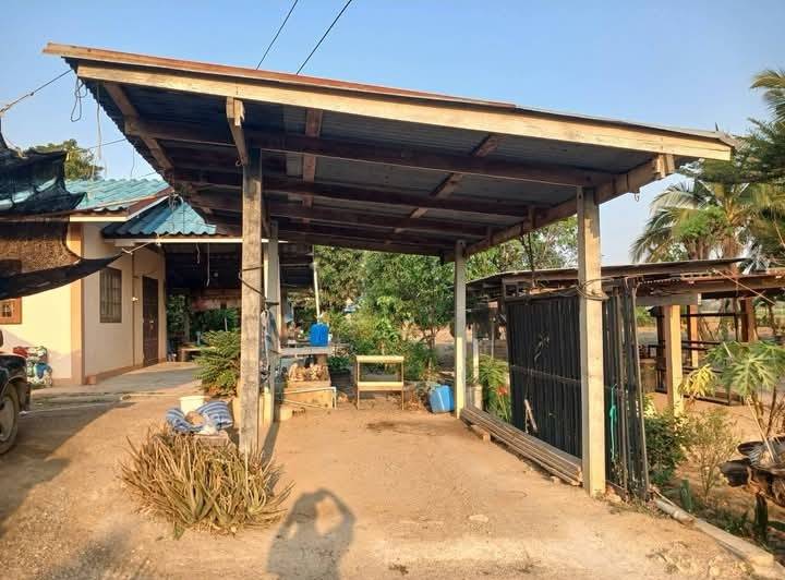 ถูกที่สุดขายถูกมาก บ้าน3หลัง พร้อมสวนผลไม้พืชผักสวครัวเก็บกินได้เลย