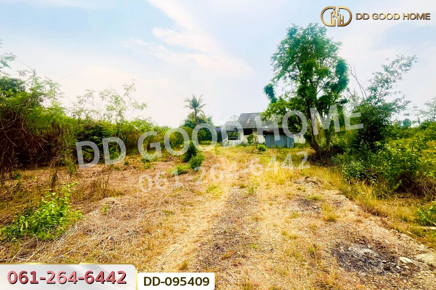 ที่ดินมะเขือแจ้ 3 ไร่ 390 ตร.ว. เมืองลำพูน ใกล้ศาลจังหวัดลำพูน DD-095409