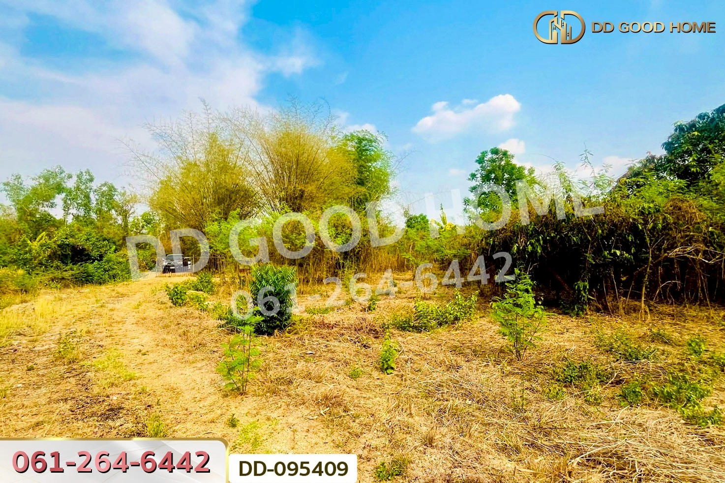 ที่ดินมะเขือแจ้ 3 ไร่ 390 ตร.ว. เมืองลำพูน ใกล้ศาลจังหวัดลำพูน DD-095409