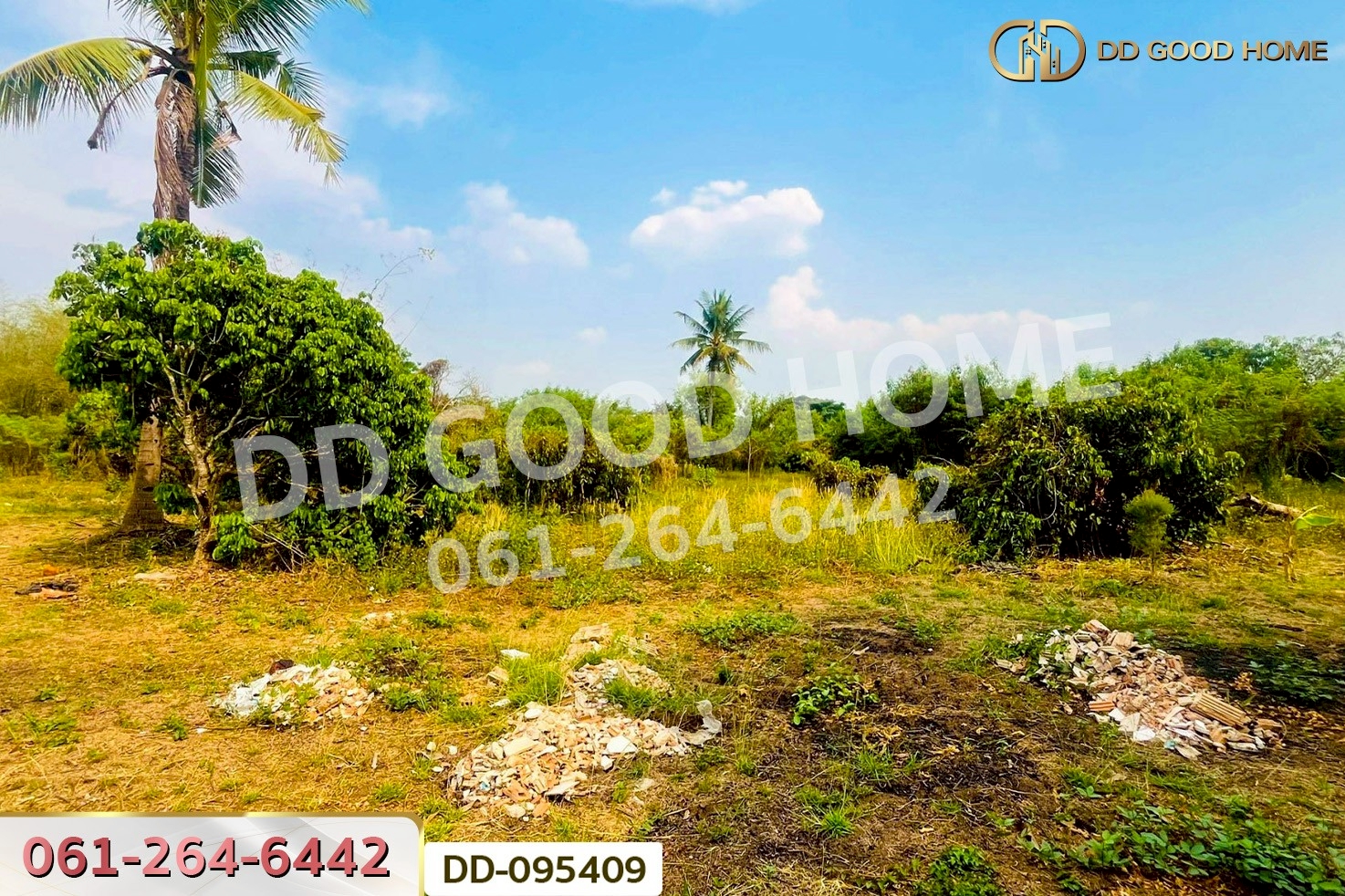 ที่ดินมะเขือแจ้ 3 ไร่ 390 ตร.ว. เมืองลำพูน ใกล้ศาลจังหวัดลำพูน DD-095409