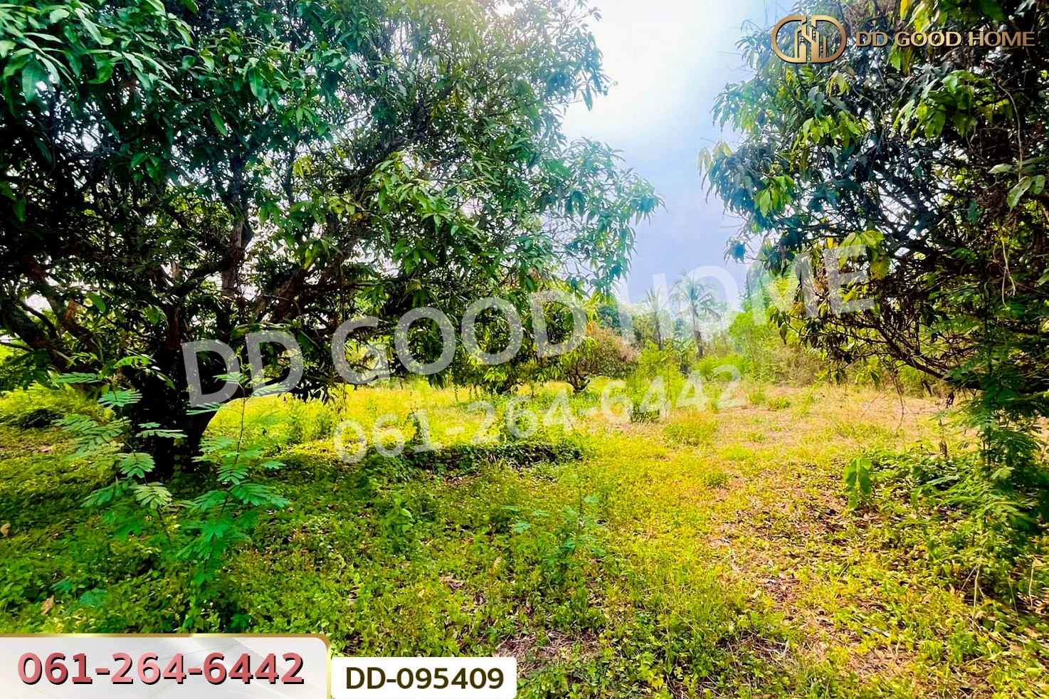 ที่ดินมะเขือแจ้ 3 ไร่ 390 ตร.ว. เมืองลำพูน ใกล้ศาลจังหวัดลำพูน DD-095409