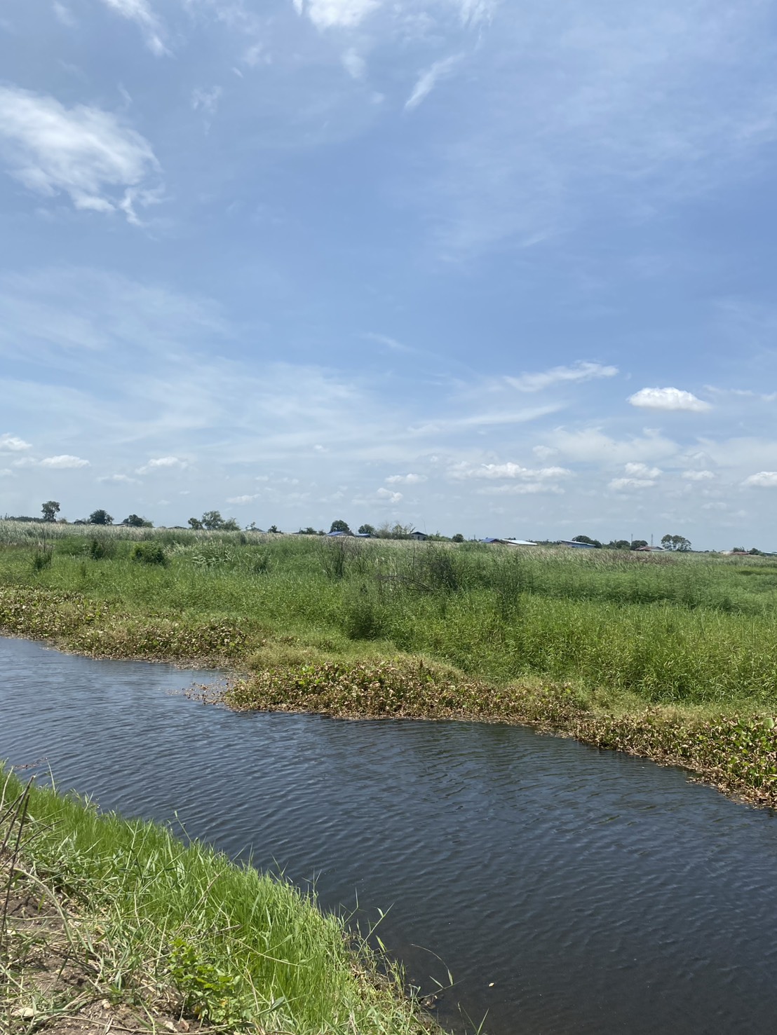 ขายที่ดินเปล่าติดถนนเลียบคลองระพีพัฒน์ ห่างถนนพหลโยธิน 5.3 กม. อ.วังน้อย จ.พระนครศรีอยุธยา