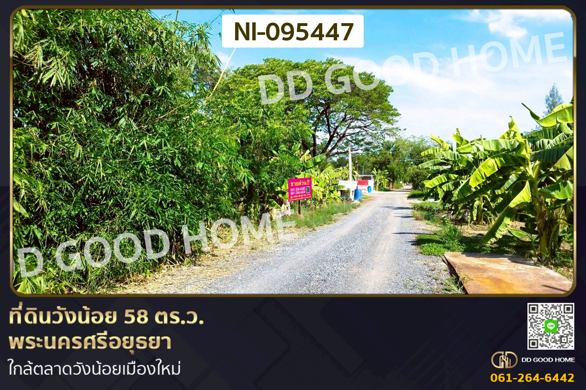 ที่ดินวังน้อย 58 ตร.ว. พระนครศรีอยุธยา ใกล้ตลาดวังน้อยเมืองใหม่ NI-095447