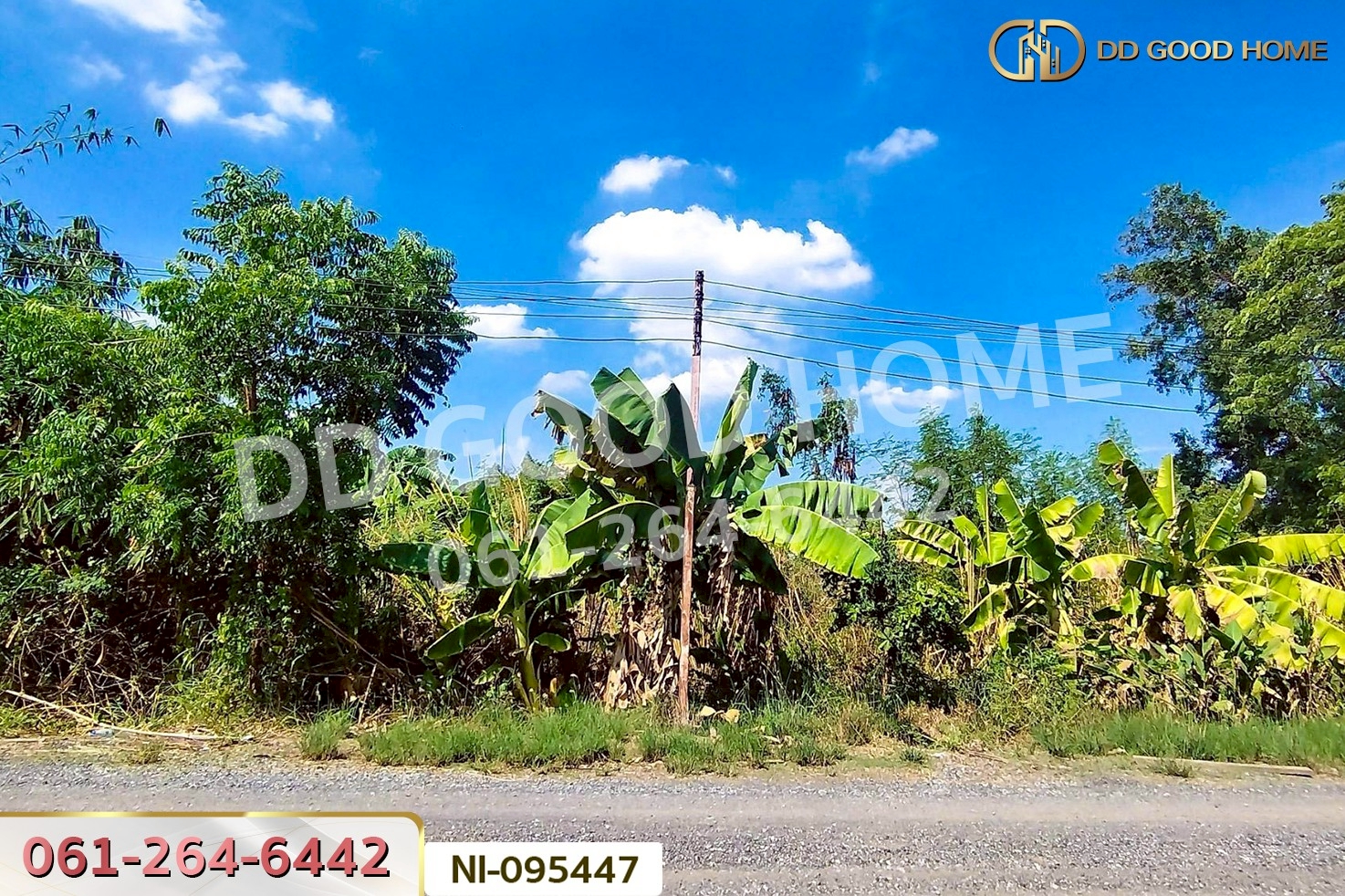 ที่ดินวังน้อย 58 ตร.ว. พระนครศรีอยุธยา ใกล้ตลาดวังน้อยเมืองใหม่ NI-095447