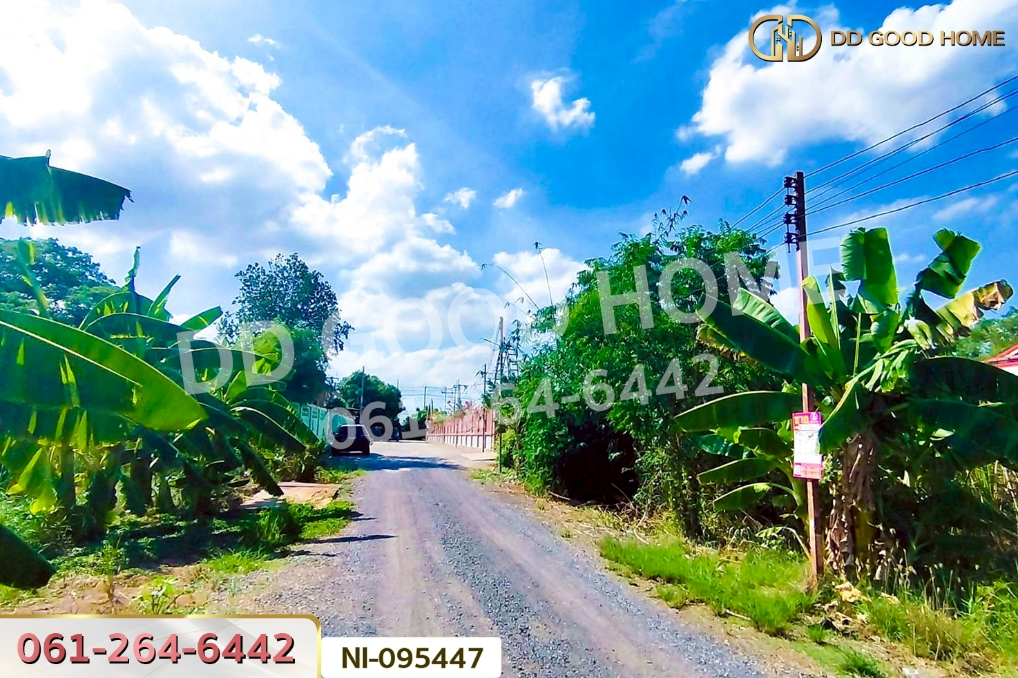 ที่ดินวังน้อย 58 ตร.ว. พระนครศรีอยุธยา ใกล้ตลาดวังน้อยเมืองใหม่ NI-095447