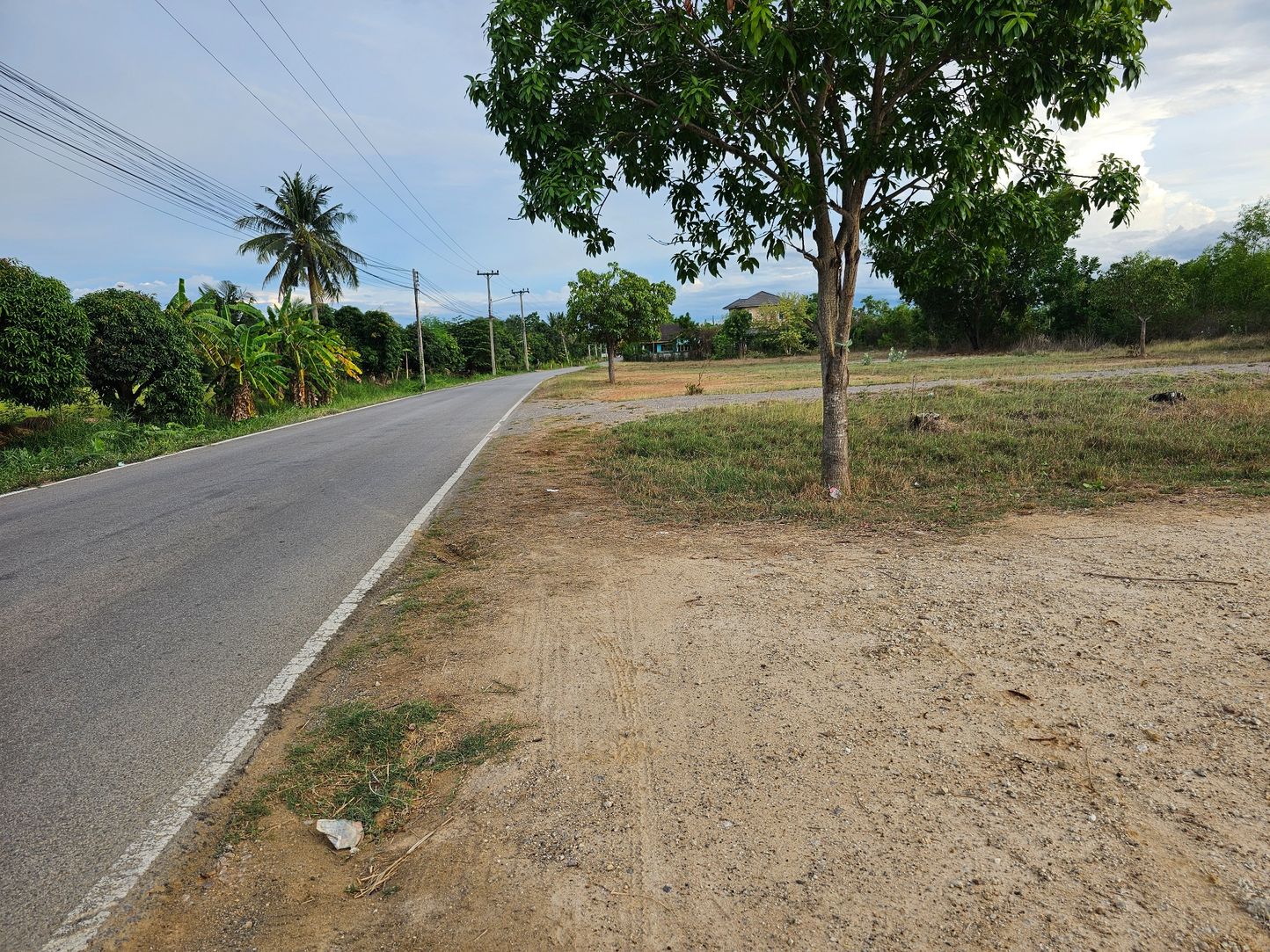 ขายที่ดิน ทำเลทอง ในเขตเทศบาลจอมบึง จังหวัดราชบุรี