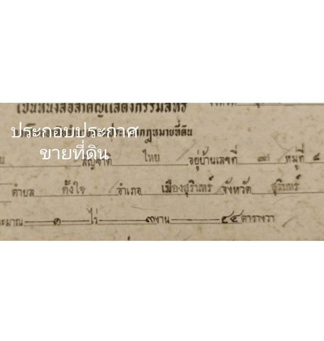 ขายที่ดินเปล่า ติดถนน ทำเลทอง อ.เมือง  จ.สุรินทร์ 