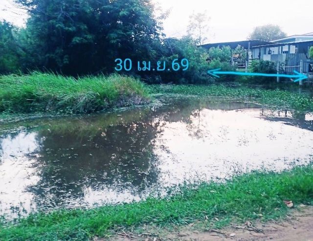 ขายที่ดินเปล่า ติดถนน ทำเลทอง อ.เมือง  จ.สุรินทร์ 