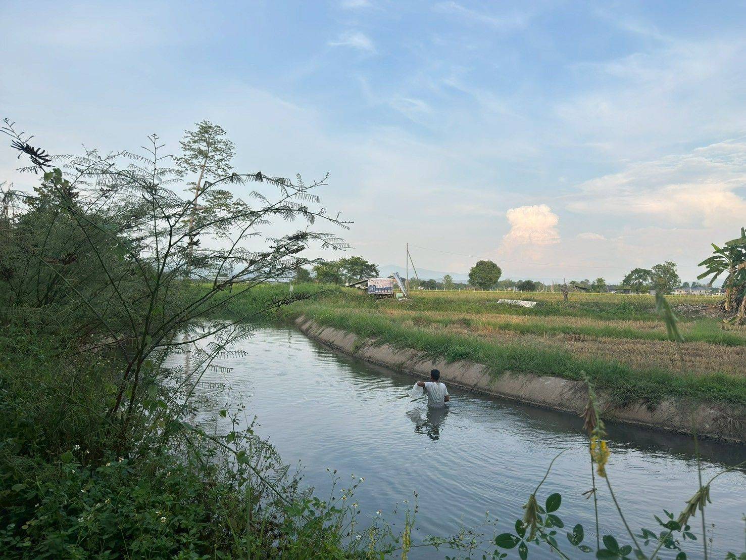 ขายที่ดินสวย บ้านร้องขี้เหล็ก ติดถนน ติดน้ำไหลตลอดปี ทำเลศักยภาพสูง (วงแหวนรอบ 4 ตัดผ่านที่ดิน)