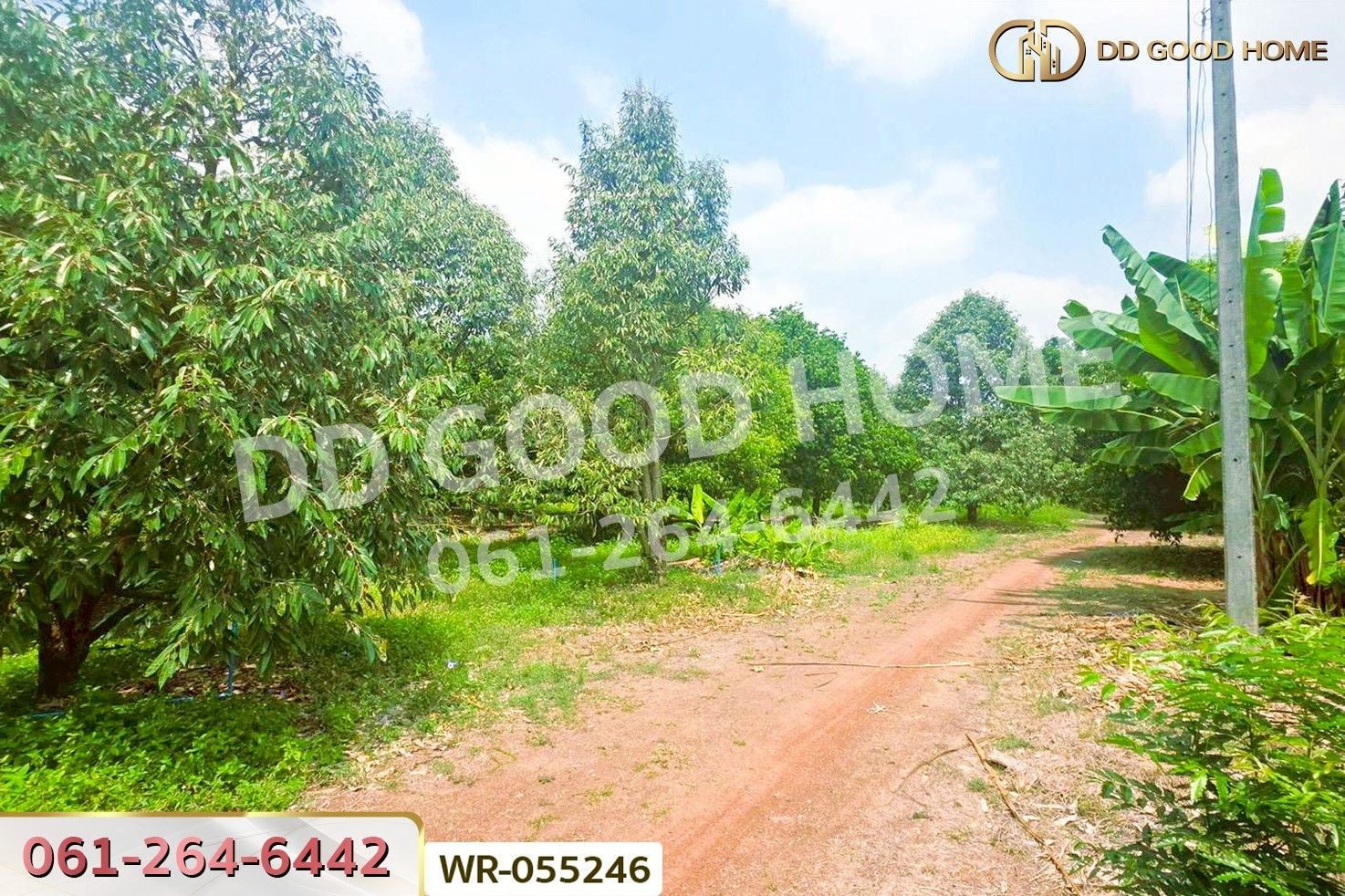 ที่ดินโคกไม้ลาย 46 ไร่ 311 ตร.ว. แยกหนองชะอม เมืองปราจีนบุรี ใกล้ มจพ.วิทยาเขตปราจีนบุรี WR-055246