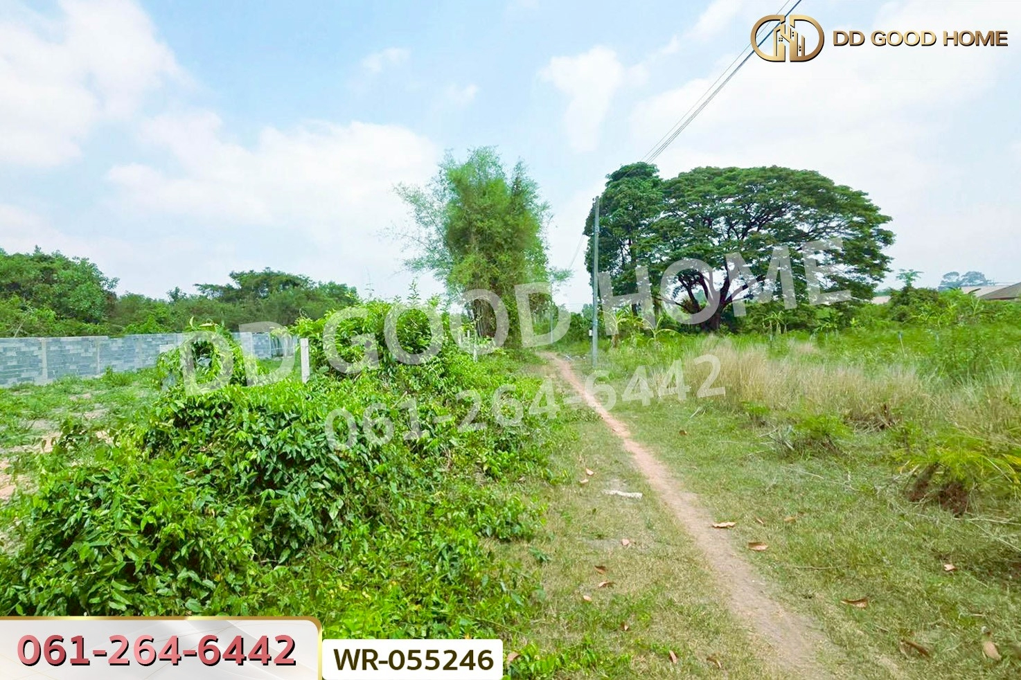 ที่ดินโคกไม้ลาย 46 ไร่ 311 ตร.ว. แยกหนองชะอม เมืองปราจีนบุรี ใกล้ มจพ.วิทยาเขตปราจีนบุรี WR-055246