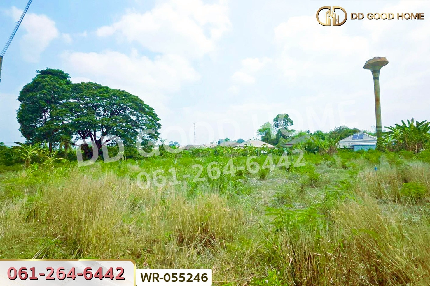 ที่ดินโคกไม้ลาย 46 ไร่ 311 ตร.ว. แยกหนองชะอม เมืองปราจีนบุรี ใกล้ มจพ.วิทยาเขตปราจีนบุรี WR-055246