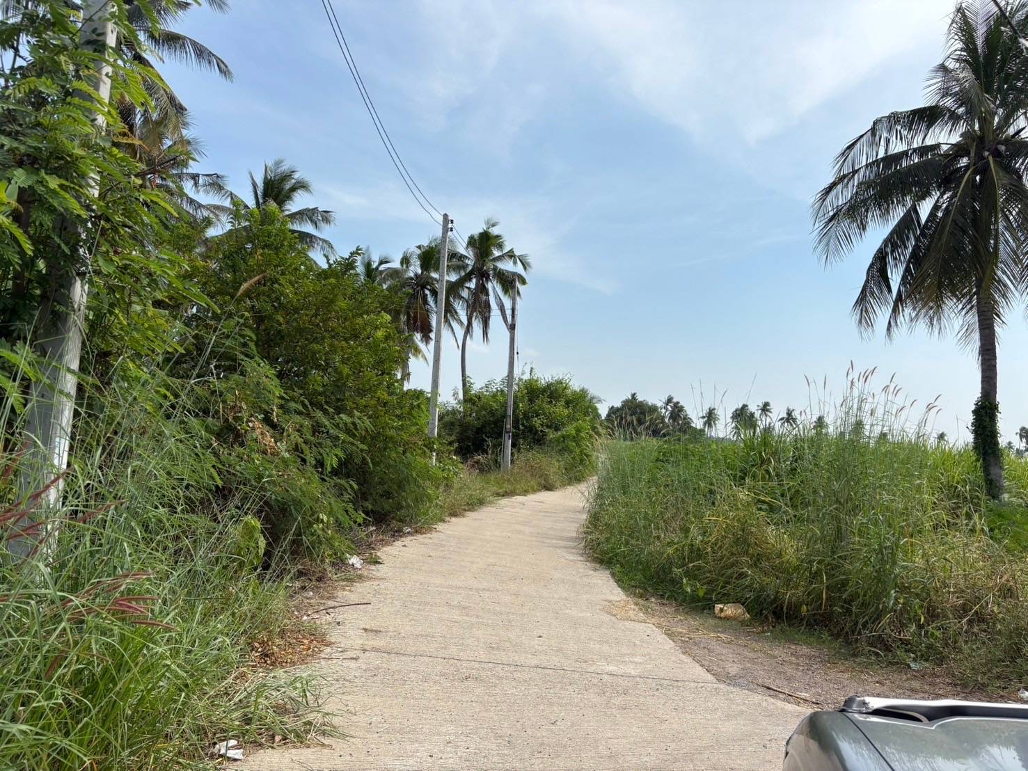 ขายที่ดินเปล่า บ้านดงน้อย ต.กกโก อ.เมือง จ.ลพบุรี