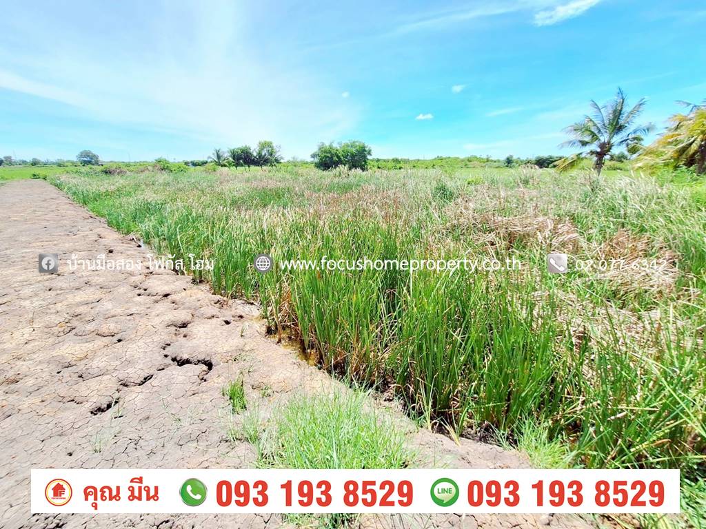 ขาย บ้านเดี่ยว 2 ไร่ 38 ตร.ว ไทรใหญ่