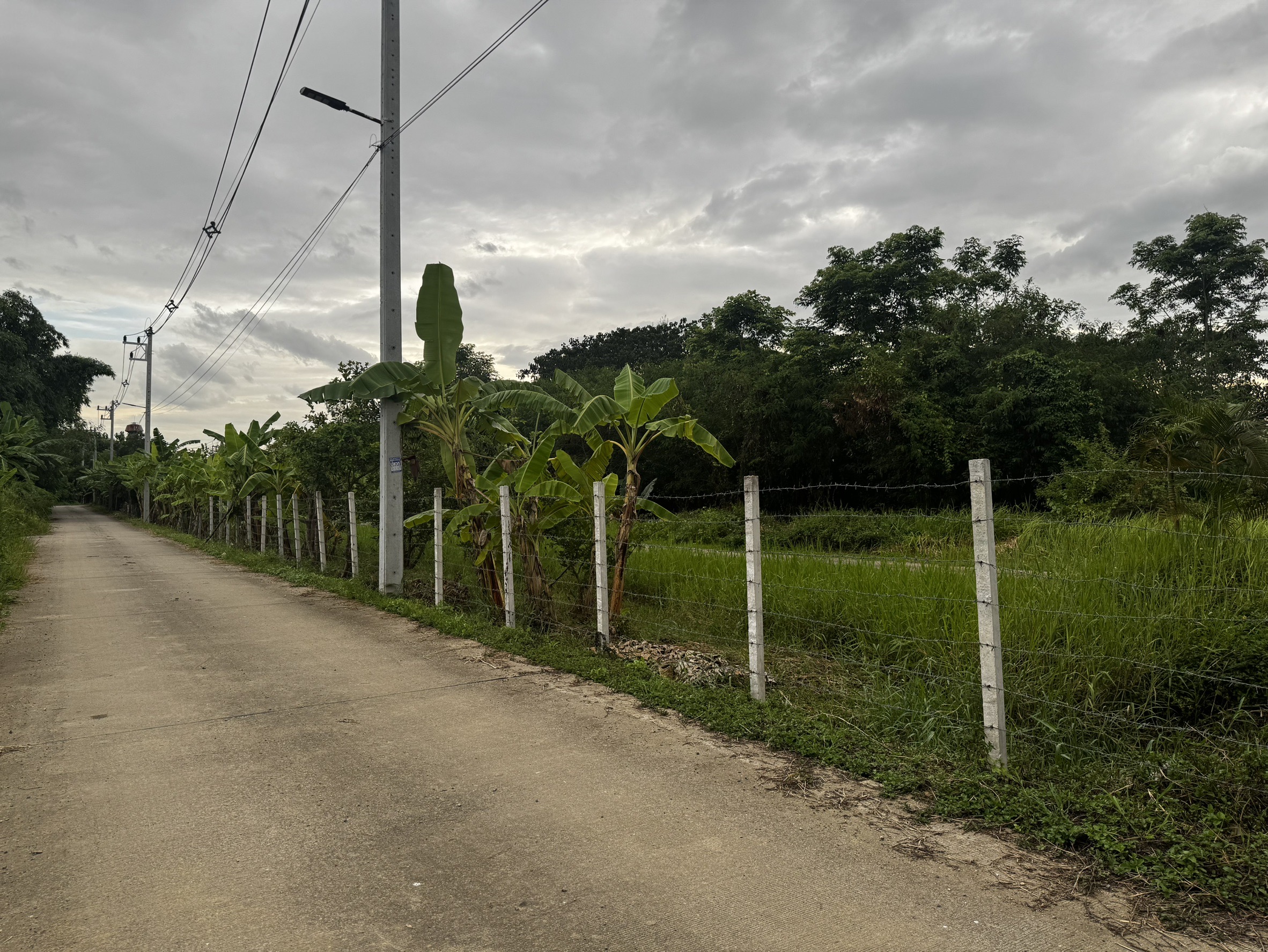 ขายที่ดินติดโครงการ หมู่บ้านกาญกนกวิลล์ 20 อำเภอสันกำแพง จังหวัดเชียงใหม่ (เจ้าของขายเอง)
