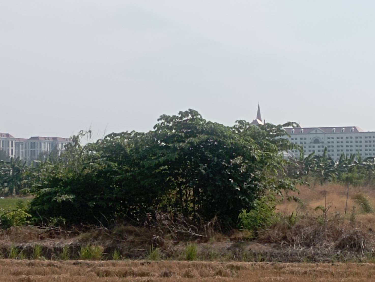 ขายที่ดินเปล่า 3 เเปลง ทำเลบางเสาธง – บางพลี จังหวัดสมุทรปราการ