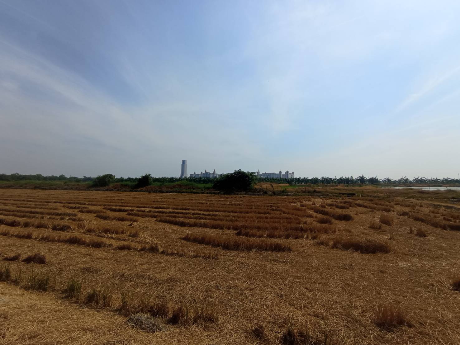 ขายที่ดินเปล่า 3 เเปลง ทำเลบางเสาธง – บางพลี จังหวัดสมุทรปราการ