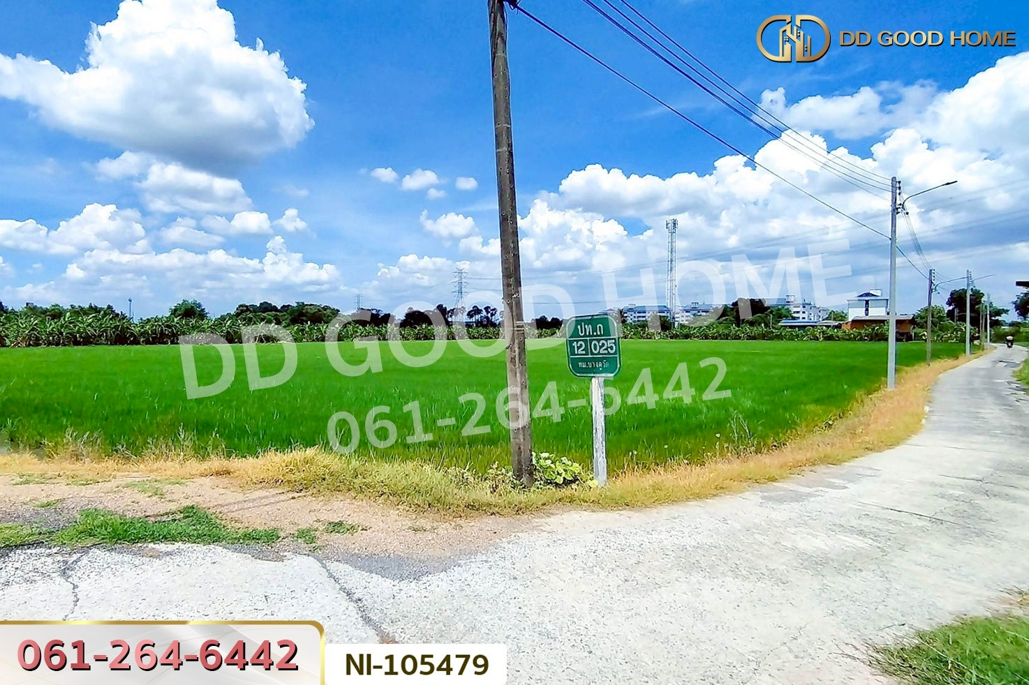 ที่ดินบางคูวัต ติดคลองหนามแดง 1 ไร่ 226.7 ตร.ว. ปทุมธานี ใกล้สำนักงานเทศบาลตำบลบางเดื่อ NI-105479