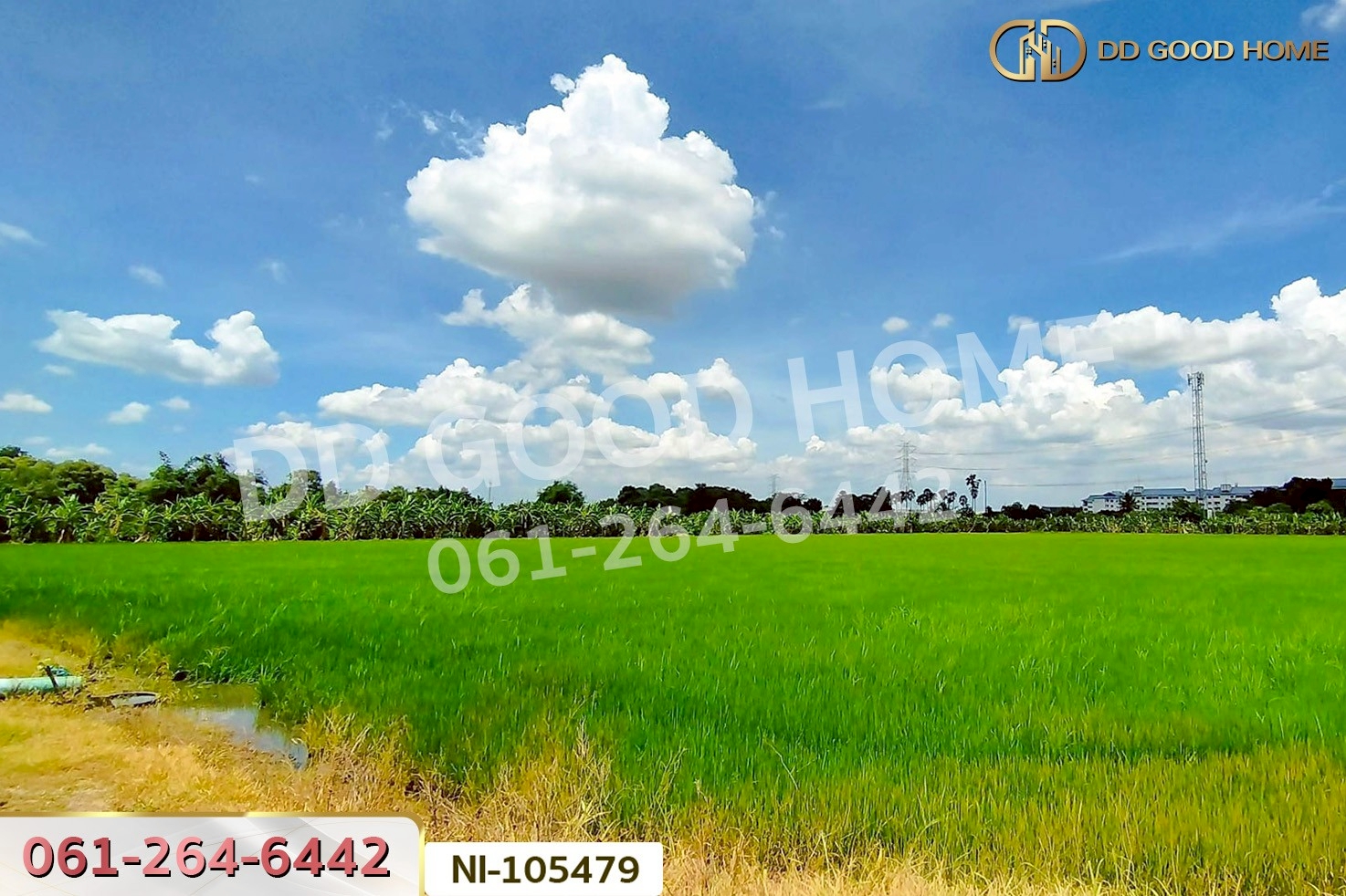 ที่ดินบางคูวัต ติดคลองหนามแดง 1 ไร่ 226.7 ตร.ว. ปทุมธานี ใกล้สำนักงานเทศบาลตำบลบางเดื่อ NI-105479