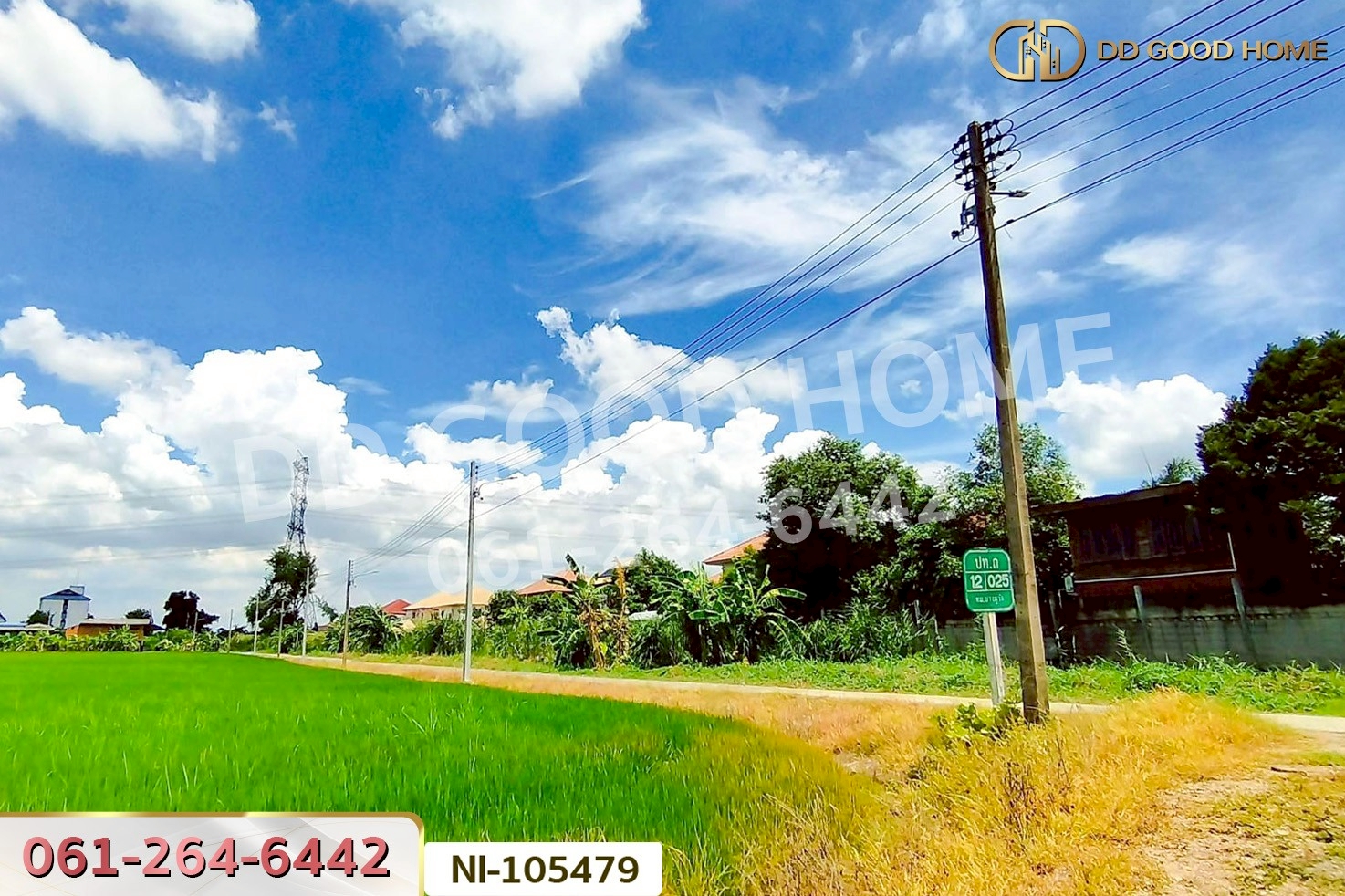 ที่ดินบางคูวัต ติดคลองหนามแดง 1 ไร่ 226.7 ตร.ว. ปทุมธานี ใกล้สำนักงานเทศบาลตำบลบางเดื่อ NI-105479