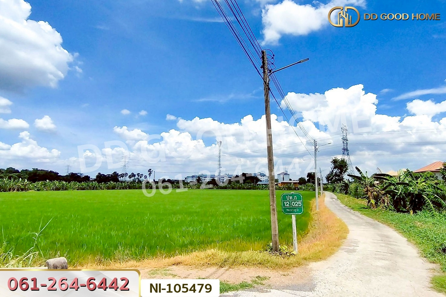 ที่ดินบางคูวัต ติดคลองหนามแดง 1 ไร่ 226.7 ตร.ว. ปทุมธานี ใกล้สำนักงานเทศบาลตำบลบางเดื่อ NI-105479
