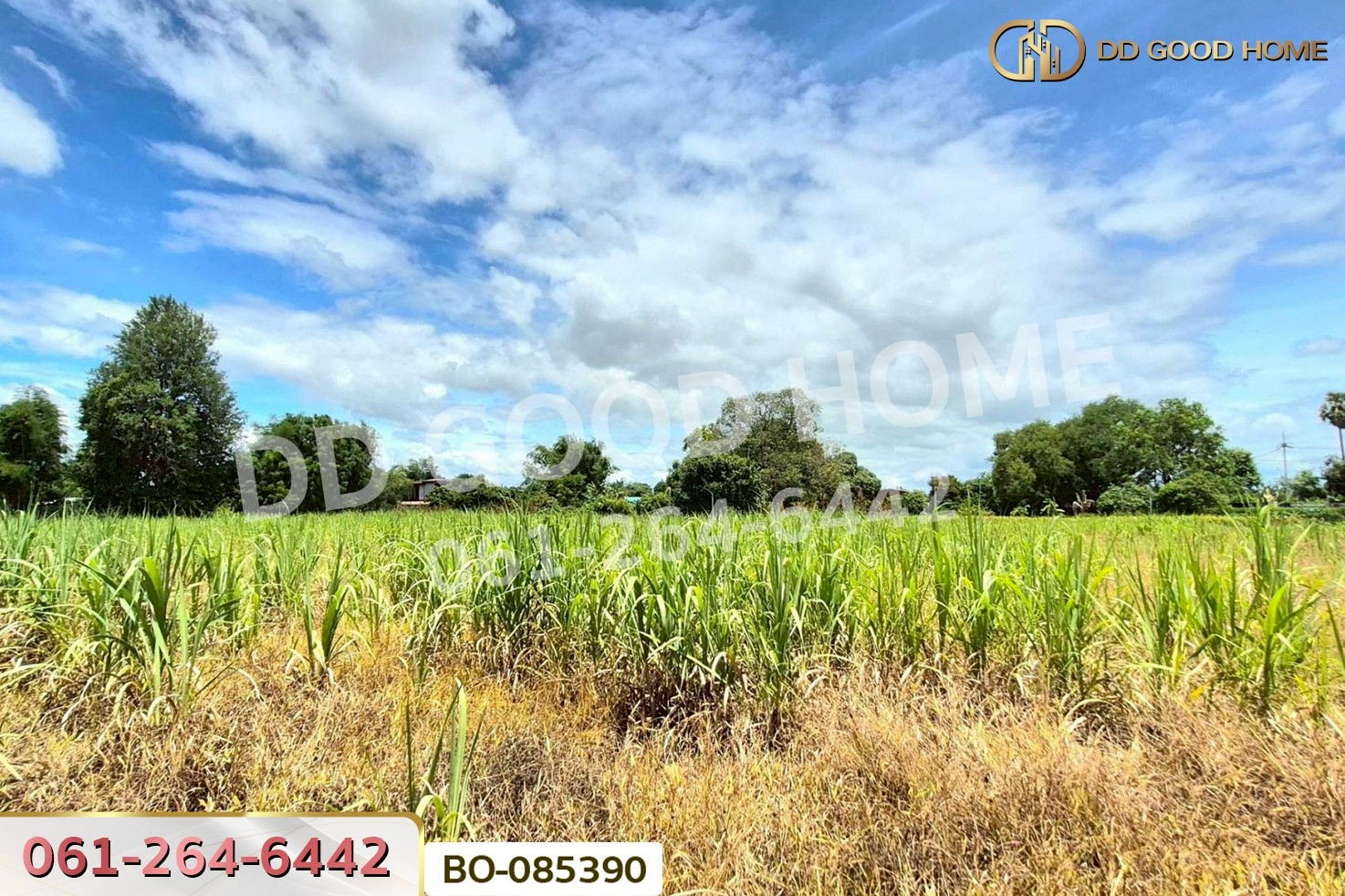 ที่ดินบ้านโป่ง 1 ไร่ 66 ตร.ว. ราชบุรี ใกล้ สยามคราฟท์ อุตสาหกรรม บจก. (โรงงานบ้านโป่ง) BO-085390