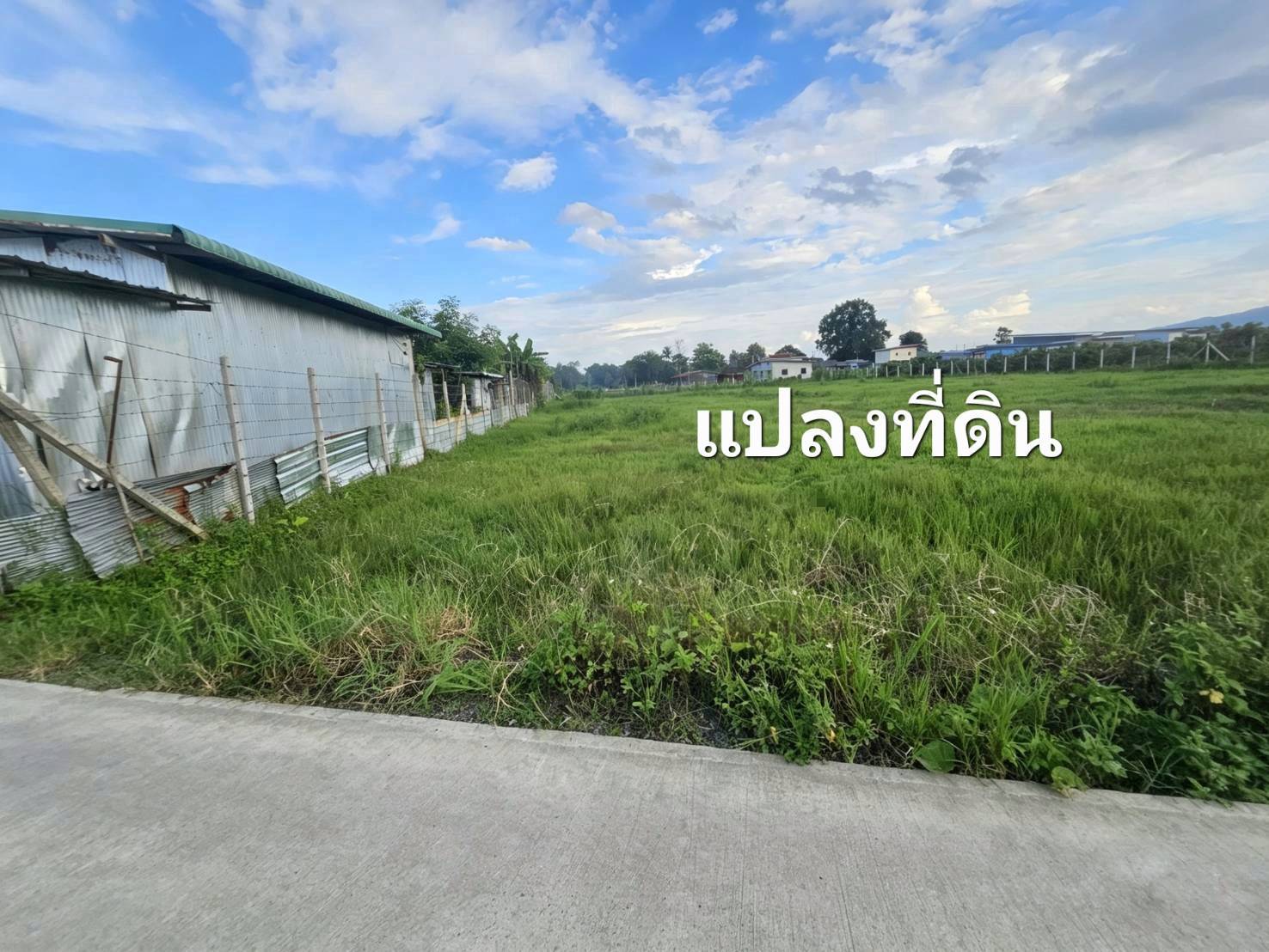 ขายที่ดินเปล่า ทำเลดี แม่ริม เชียงใหม่ ราคาต่ำกว่าตลาด ใกล้มหาวิทยาลัยแม่โจ้ วิวดอยสุเทพ