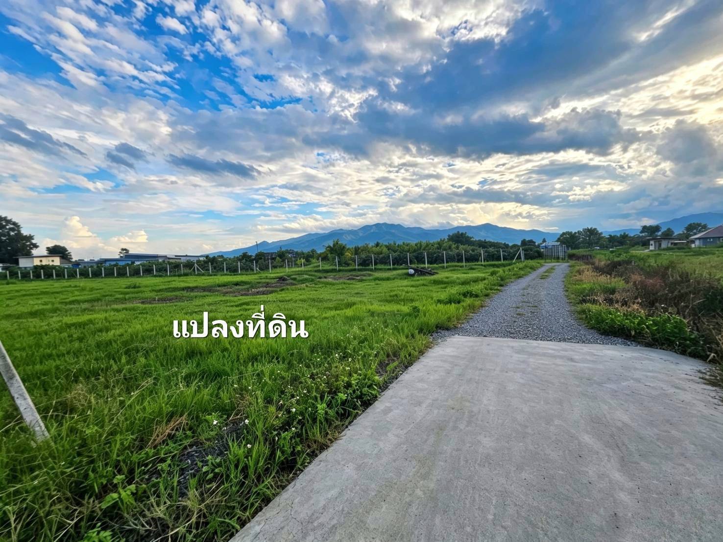 ขายที่ดินเปล่า ทำเลดี แม่ริม เชียงใหม่ ราคาต่ำกว่าตลาด ใกล้มหาวิทยาลัยแม่โจ้ วิวดอยสุเทพ