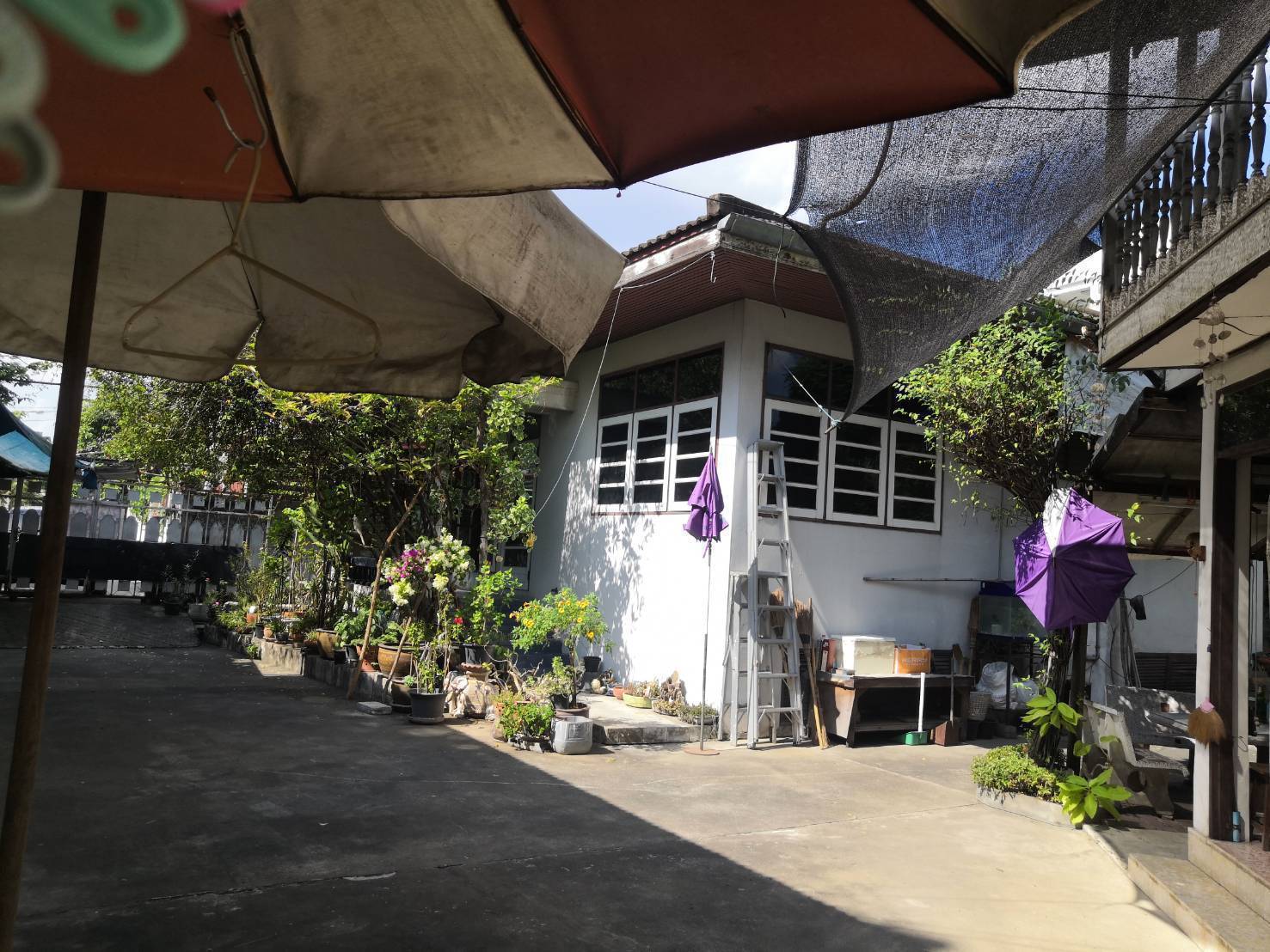 ขายที่ดินพร้อมบ้าน ซอยปรีดี พนมยงค์ 20 เขตวัฒนา กรุงเทพฯ ทำเลทอง ใกล้สุขุมวิทและ BTS พระโขนง