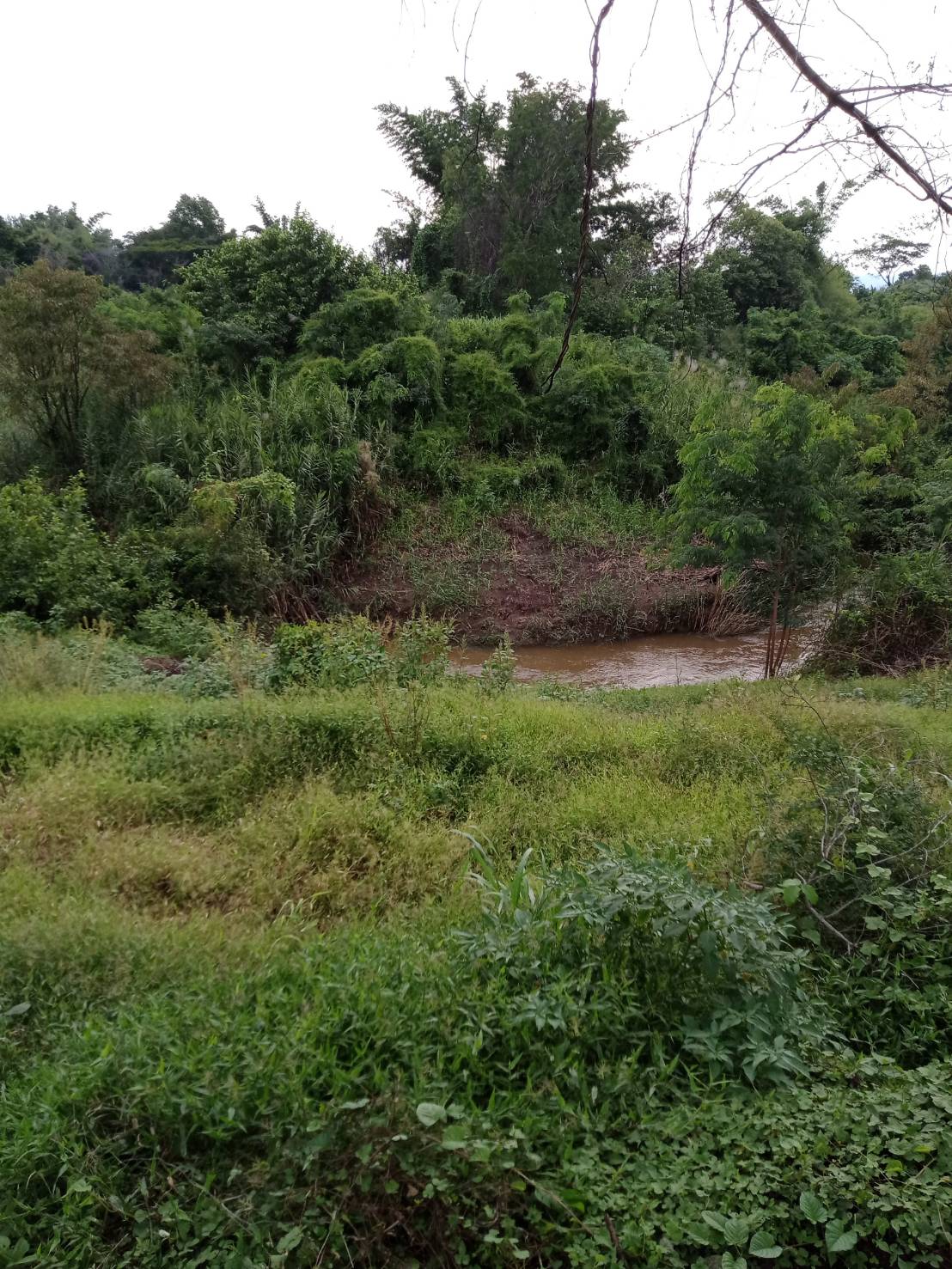 ขายที่ดินสวยทำเลดี ตำบลหินซ้อน อำเภอแก่งคอย จังหวัดสระบุรี 
