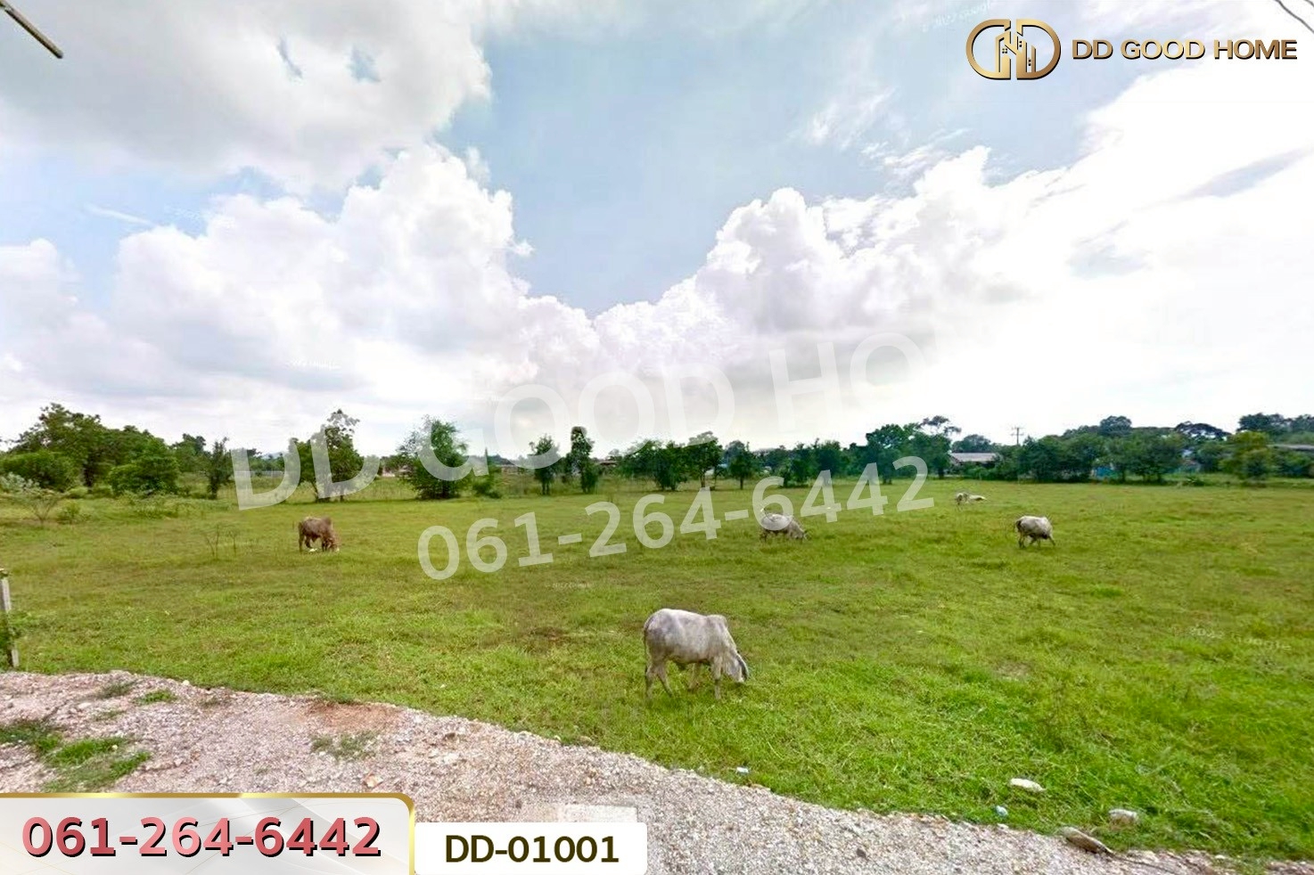 ที่ดินตะกุด 4 ไร่ 229.5 ตร.ว. สระบุรี ใกล้โรบินสัน ไลฟ์สไตล์ สระบุรี DD-01001
