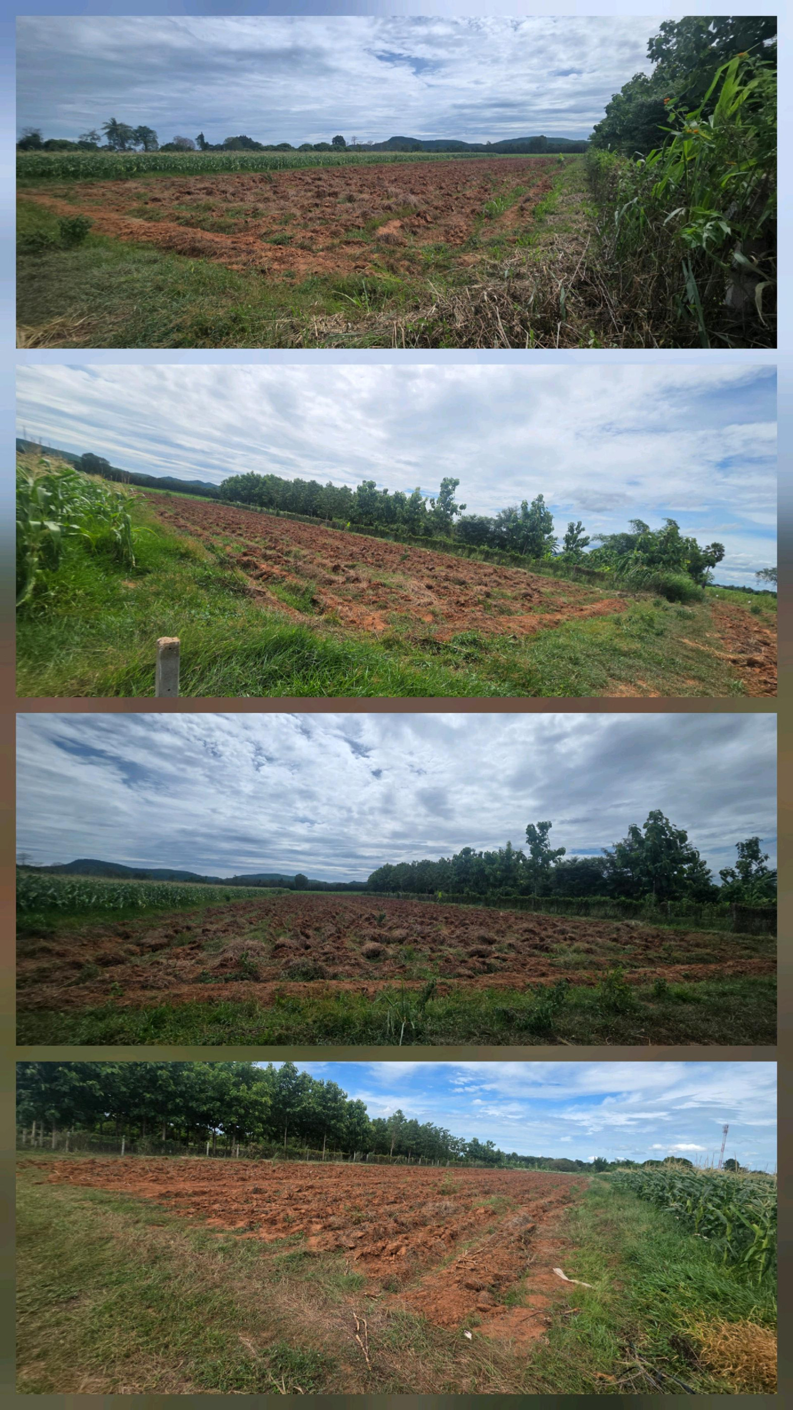ขายที่ดินเปล่า 2 ไร่ ใกล้หนองกวาง ทำเลดี จ.ราชบุรี