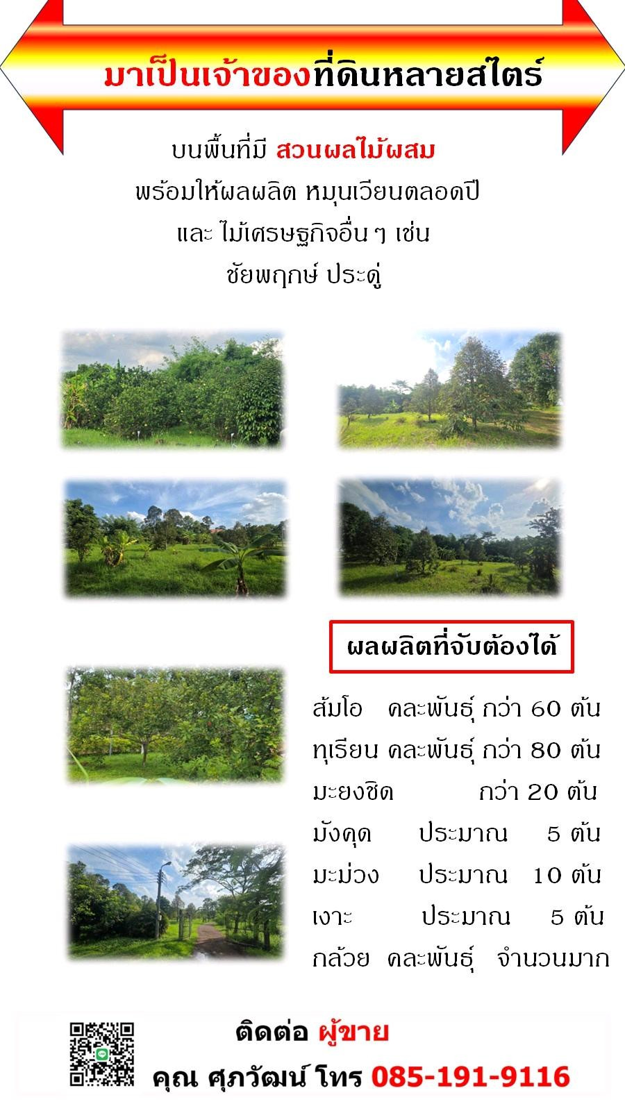 ขายที่ดินเปล่า 32 ไร่ แปลงใหญ่ ติดถนน 2 ด้าน ทำเลดี จังหวัดนครนายก