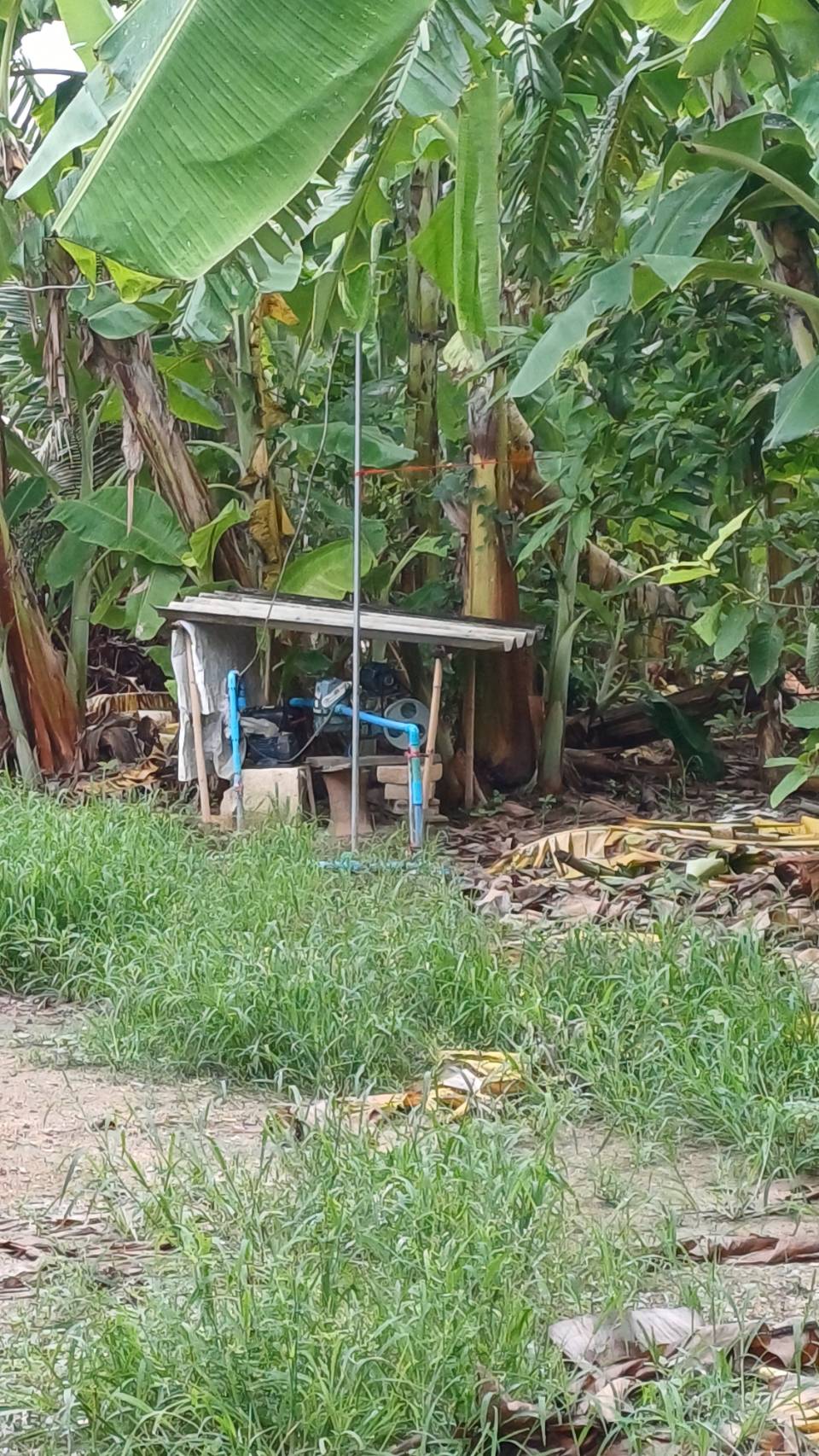 ขายบ้านสวนพร้อมที่ดิน ทำเลดี อำเภอกุยบุรี จังหวัดประจวบคีรีขันธ์
