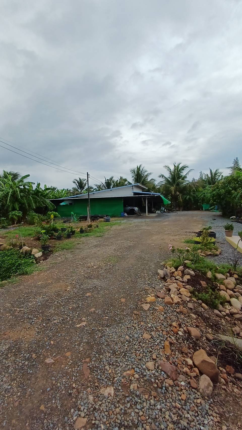 ขายบ้านสวนพร้อมที่ดิน ทำเลดี อำเภอกุยบุรี จังหวัดประจวบคีรีขันธ์