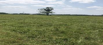 ที่ดิน 9 ไร่เศษ เหมาะคนรักสงบ เดินทางได้หลายเส้นทาง ใกล้ความเจริญ ตัวเมืองนครศรีธรรมราช