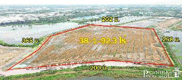 ที่สวยสร้างโกดัง 38ไร่เศษ หน้ากว้างถึง 200 ม. ติดถนนที่รถเทรลเลอร์เข้าออกสบาย ใกล้ถนนบ้านแพ้ว พระราม 2 คุ้มค่า 17% - KK1044S