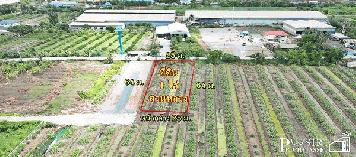 ขายที่ทรงสวย1 ไร่ พร้อมการเดินทางที่สะดวก บนถนนเลียบคลองสี่วา ใกล้แคราย และ บางบอน 5 ราคาพิเศษ - KK3631S