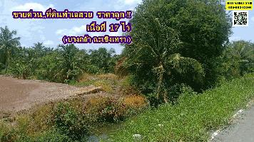 ขายที่ดิน  ใกล้วัดสมานรัตนาราม อำเภอบางคล้า ฉะเชิงเทรา