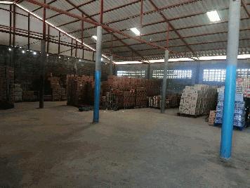 ให้เช่าโกดังด่วน พิ้นที่1ไร่กว่า อยู่ติดถนนใหญ่ ตัวโกดังกว้าง15x20เมตร จอดรถได้สะดวก อยู่ อ.บางเลน จ.นครปฐม ให้เช่า 29,000 /เดือน