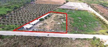 สร้างโรงงาน/คลังสินค้า ได้หลายประเภทและวางแปลนง่าย ที่ดิน 1 ไร่ 363.5 วา ขับรถ 5 นาที จาก ถ.เพชรเกษม-อ้อมใหญ่ – ขายที่ดินนครปฐม - KK2367S