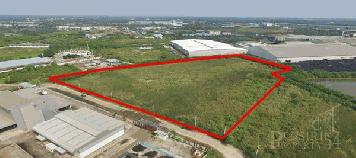 ขายที่ 21ไร่ โดดเด่น เห็นง่าย  ใช้รถเทเลอร์สะดวกใกล้เส้นบ้านแพ้วและพระราม 2  เพียง 2.5 ล้าน/ไร่ - KK2644S