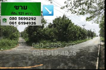 ขาย ที่ดินเปล่า ที่ดินจัดสรร ต.มิตรภาพ มวกเหล็ก 121ตรว. แปลงมุม ติดถนนหลวง