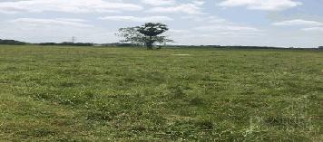 ขายที่ดิน 9ไร่เศษ เหมาะกับคนรักสงบ เดินทางได้หลายเส้นทาง ใกล้ความเจริญและตัวเมืองนครศรีธรรมราช - KK3238S