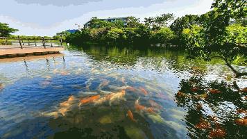Sell ..ขายคอนโด Swan Lake Khao Yai (สวอนเลค เขาใหญ่) เขาใหญ่ คอนโดพักตากอากาศ Low Rise บนพื้นที่กว่า 68 ไร่ สนใจติดต่อ 080-9169359 ห้อง 2B-E ตึก F-305 ชั้น3 เนื้อที่ 90.50 ตารางเมตร 2 ห้องนอน 1 ห้องน้ำ Swan Lake เขาใหญ่ คอนโดพักตากอากาศ Low Rise