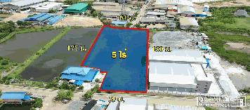 ที่ 5 ไร่ สวยและถูกเพียง 3.8 ล้าน / ไร่ ใกล้ ถ.เศรษฐกิจ เอกชัย